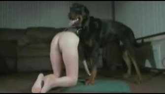 Dogs porn a dog impregnates a lustful woman