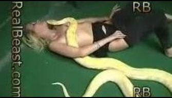 Tall woman tries to fuck with a snake erotic zoo porn movie