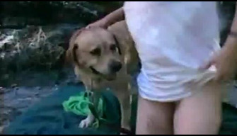 A girl with a tender cunt arranged zoo sex in nature with a dog