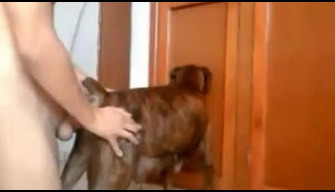 Dostum evde bir köpek becerdin çevrimiçi hayvanat bahçesi video