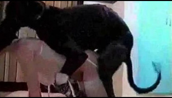 Bir köpek ve şehvetli bir sapık ile eski güzel retro hayvanat bahçesi porno