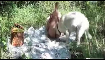 Sex animal lady fucked with a dog in nature bestiality video