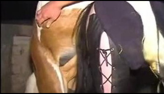 Sesso con un cavallo giovane castrone scopa una signora con la figa e piene di sperma